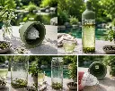 Hario 750ml olive green Zubereitung.webp