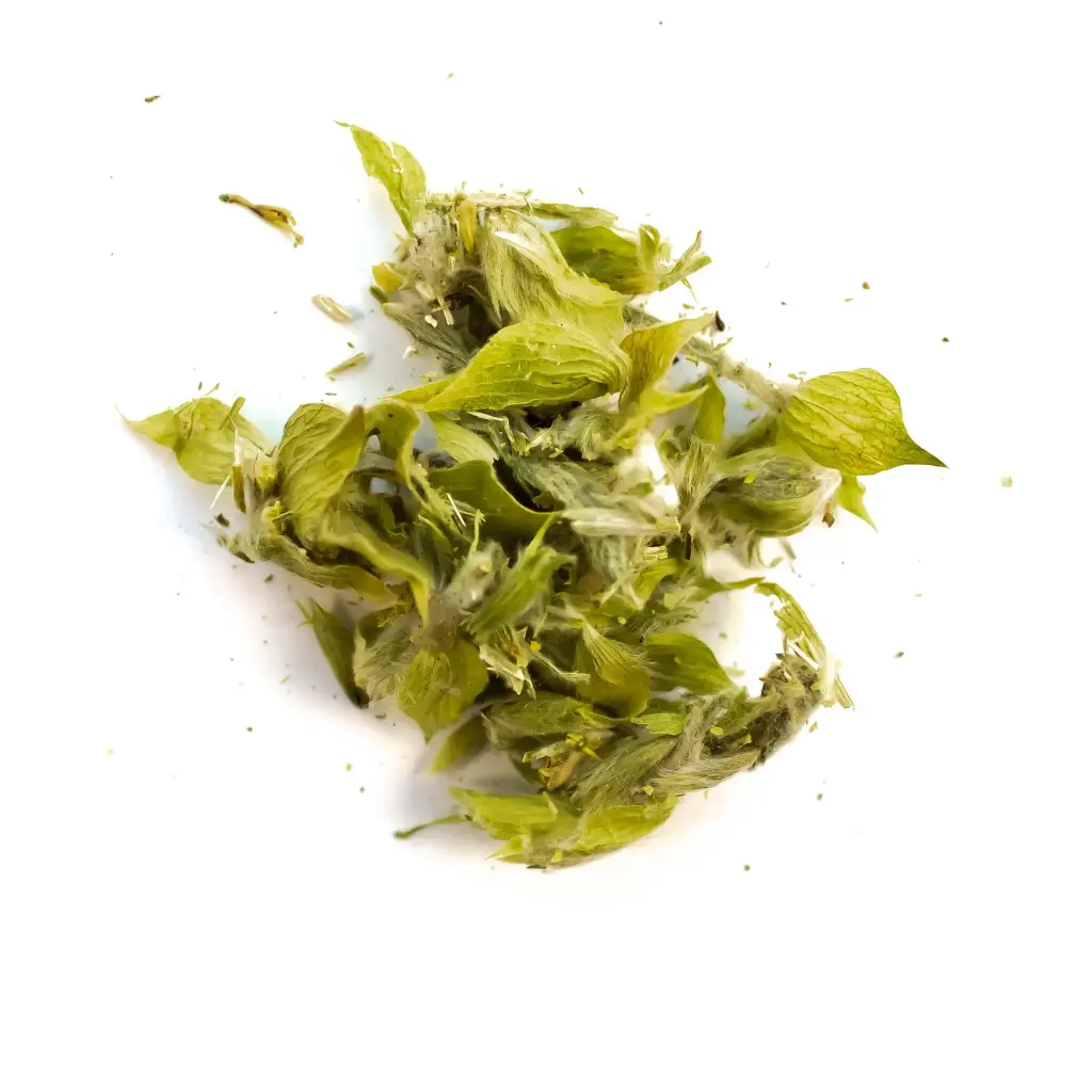 Original Griechischer Bio Bergtee