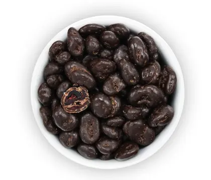 Cranberries in Zartbitterschokolade