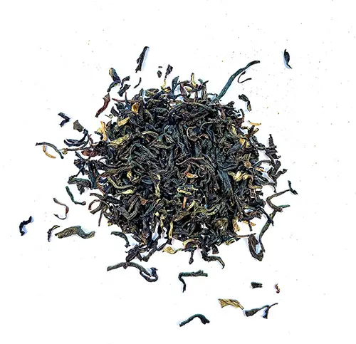 Assam TGFOP Koilamari