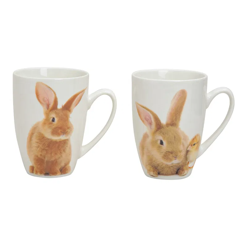 Becher Hase