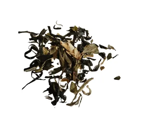 Grüner Drache 