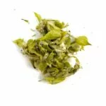 Original Griechischer Bio Bergtee